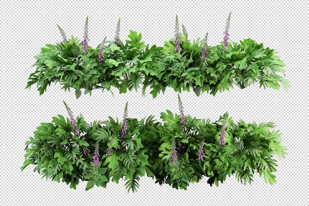 PSD tropical trees and flowers in 3d rendering isolated