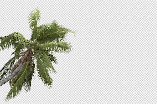 Alberi tropicali e piante di fiori nel rendering 3d isolato