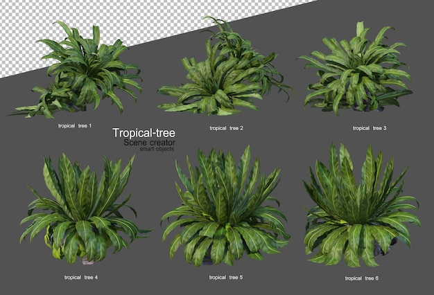 Tropical trees and plants in 3d rendering