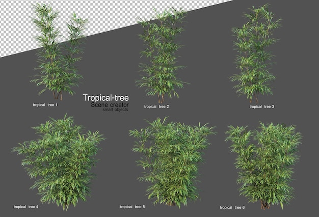 Alberi e piante tropicali nel rendering 3d