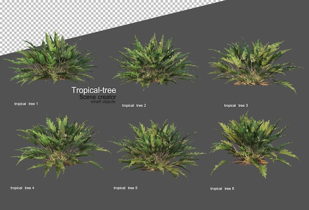 Tropical trees and plants in 3d rendering