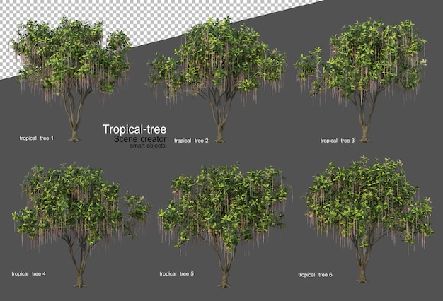 Alberi e piante tropicali nel rendering 3d