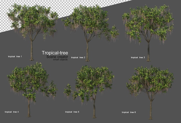 Tropical trees and plants in 3D rendering