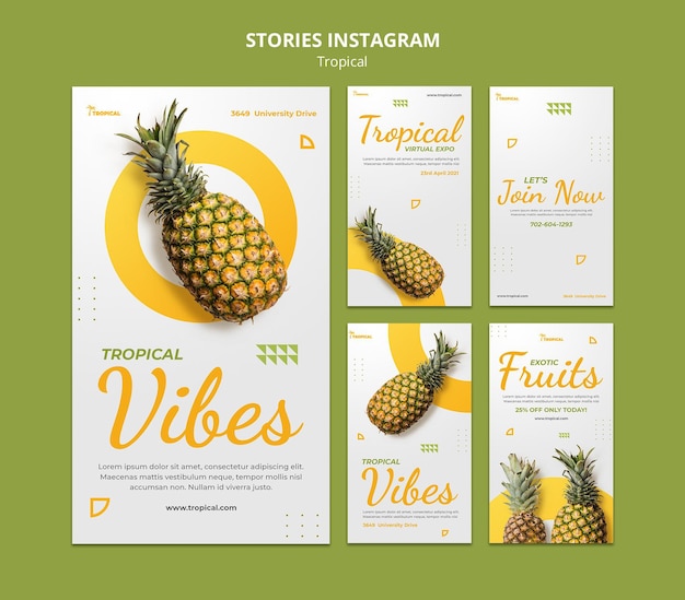 PSD storie di instagram di vibrazioni tropicali