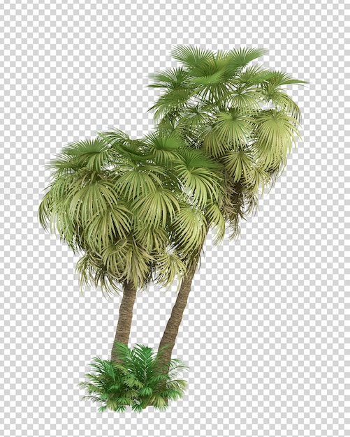 Tropikalna palma w renderowaniu 3d