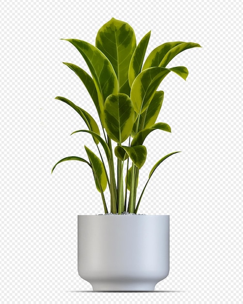 Tropikalna roślina w doniczce w renderowaniu 3d