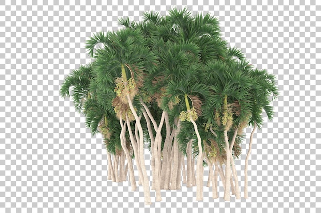 Tropikalna Wyspa Z Palmami Na Przezroczystym Tle. Renderowanie 3d - Ilustracja