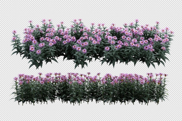 Tropikalne drzewa i kwiaty w renderowaniu 3d na białym tle