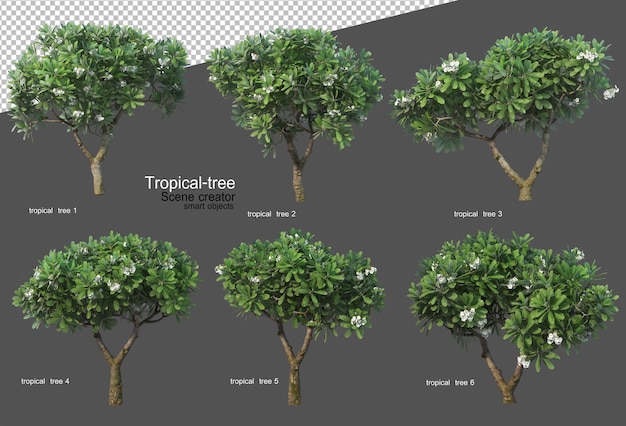 Tropikalne Drzewa I Rośliny W Renderowaniu 3d