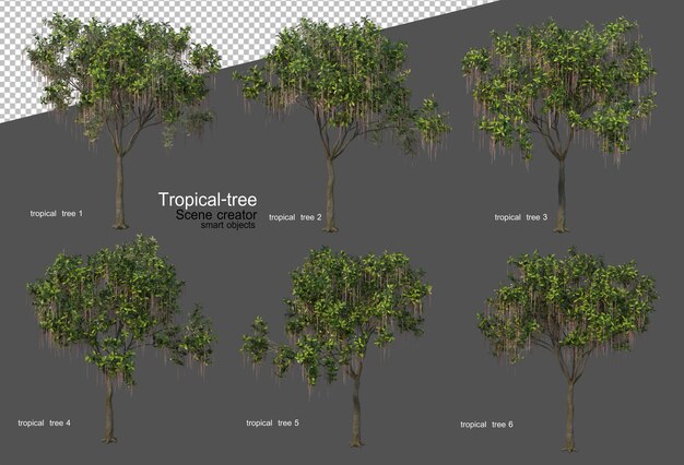 Tropikalne drzewa i rośliny w renderowaniu 3D