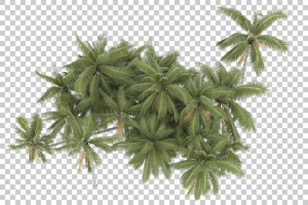 Tropikalne drzewa na przezroczystym tle. Renderowanie 3d - ilustracja