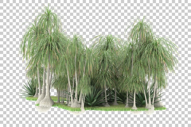 PSD tropikalny las odizolowywający na przezroczystym tle ilustracja renderowania 3d