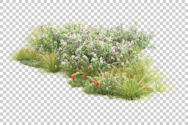Tropikalny las odizolowywający na przezroczystym tle ilustracja renderowania 3d