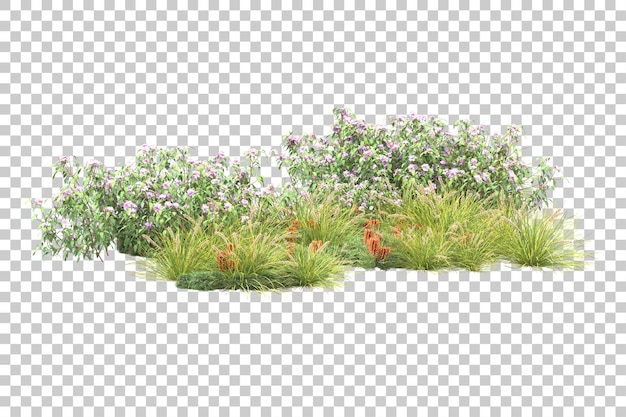 Tropikalny las odizolowywający na przezroczystym tle ilustracja renderowania 3d