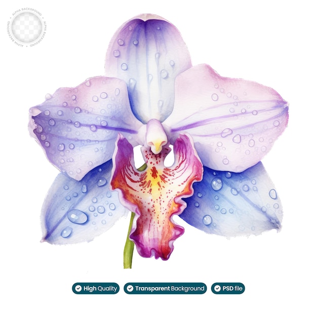 PSD tropikalny majestat i wyrafinowane piękno kwiatów orchidei w tym wykwintnym dziele sztuki