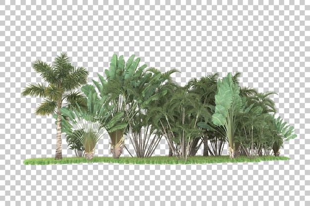 Tropisch bos geïsoleerd op een doorzichtige achtergrond 3d-rendering illustratie