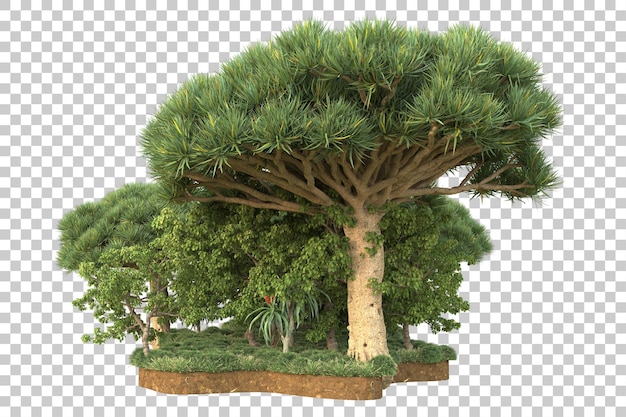 Tropisch bos geïsoleerd op transparante achtergrond 3D rendering illustratie