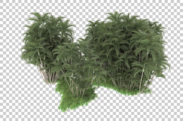 Tropisch eiland geïsoleerd op transparante achtergrond 3D rendering illustratie