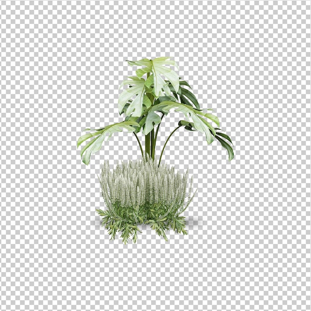 tropisch palmbladeren geïsoleerd mockup-ontwerp