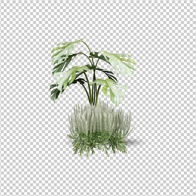 tropisch palmbladeren geïsoleerd mockup-ontwerp