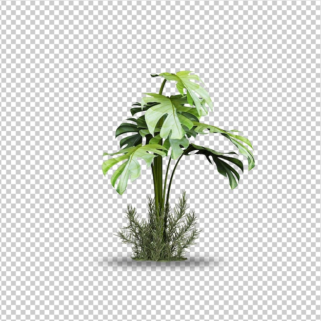 tropisch palmbladeren geïsoleerd mockup-ontwerp