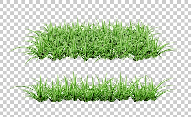 Tropische bloemenstruik isometrische 3d render