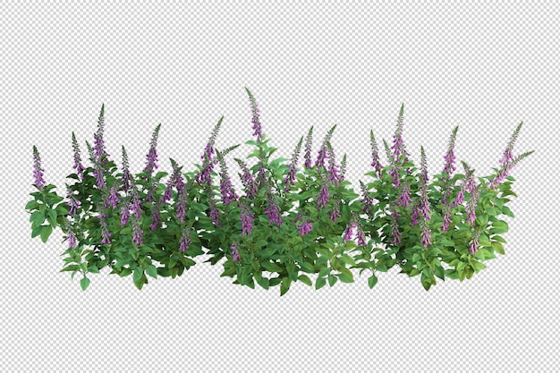 Tropische bomen en bloemen in 3d-rendering geïsoleerd