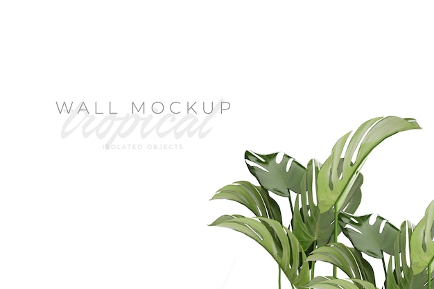 Tropische en zomerse achtergrond mockup