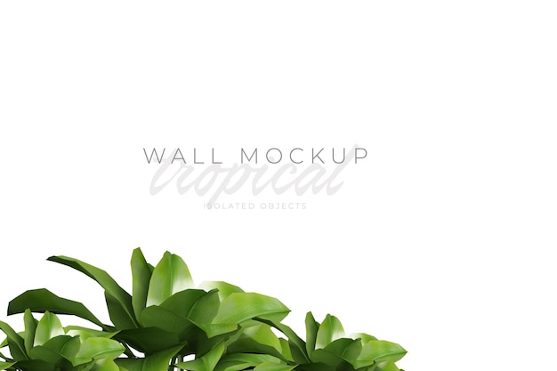 Tropische en zomerse achtergrond Mockup