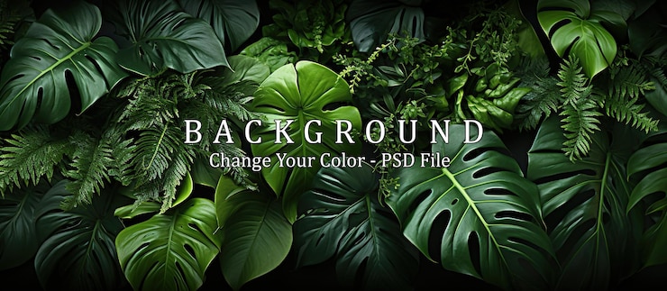 PSD tropische gebladerteachtergrond monstera philodendron varen en andere exotische planten