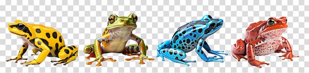 PSD tropische gif frog set geïsoleerd op doorzichtige