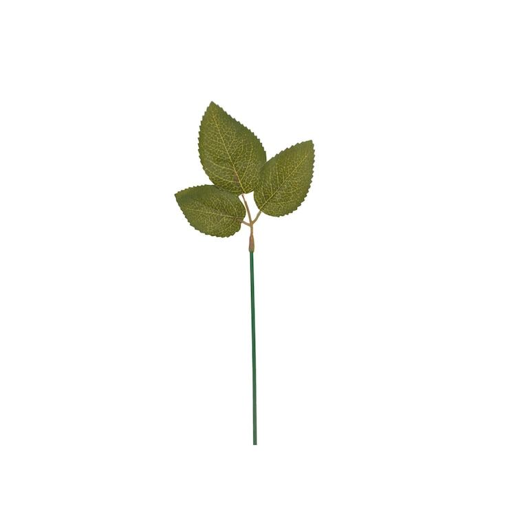 PSD tropische groene bladeren voor decoratie