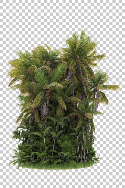 Tropische jungle op transparante achtergrond 3d-rendering illustratie