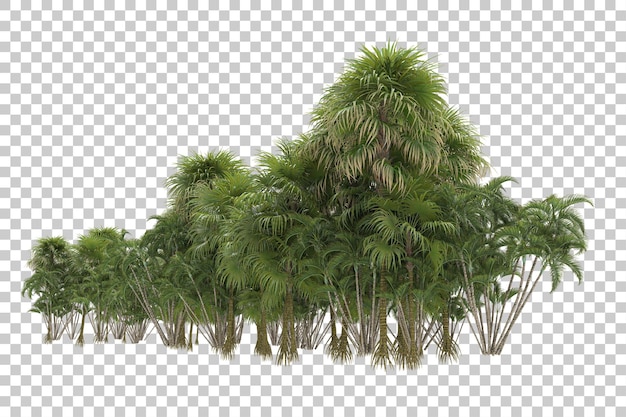 Tropische jungle op transparante achtergrond 3D-rendering illustratie