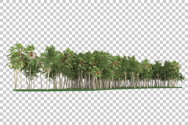 Tropische jungle op transparante achtergrond. 3d-rendering - illustratie