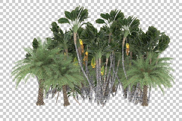 Tropische jungle op transparante achtergrond. 3d-rendering - illustratie
