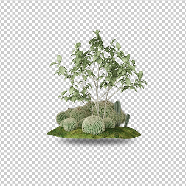 Tropische plant en boom mockup