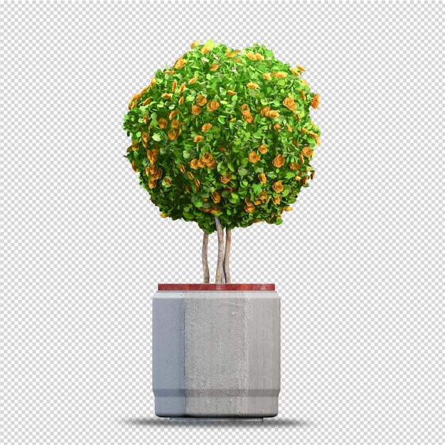 Tropische plant in 3D-rendering geïsoleerd