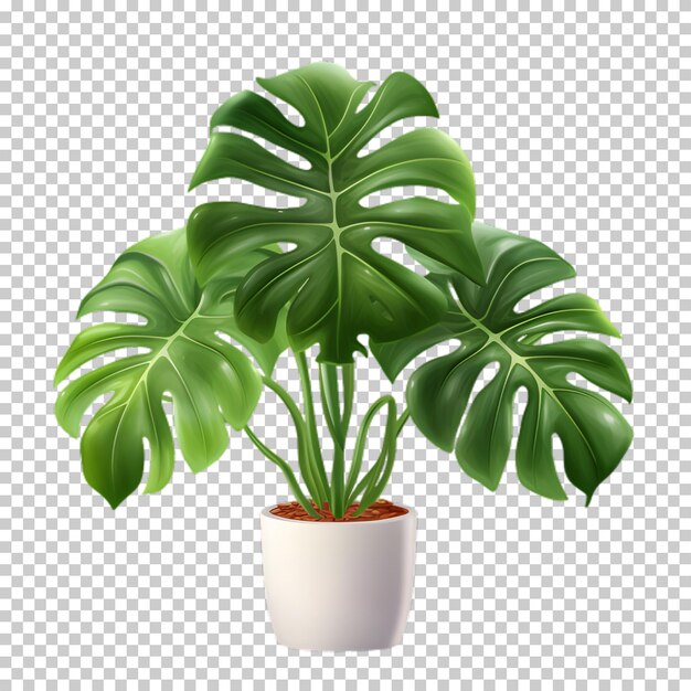 Tropische plant in een pot geïsoleerd op een doorzichtige achtergrond