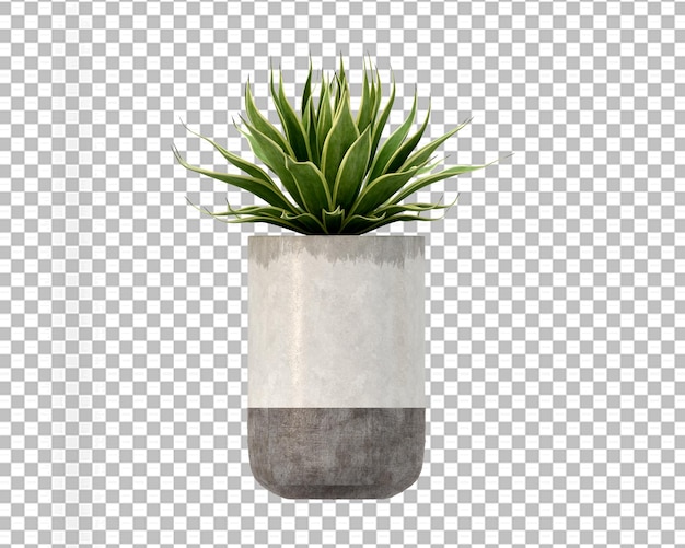 PSD tropische planten in 3d-rendering