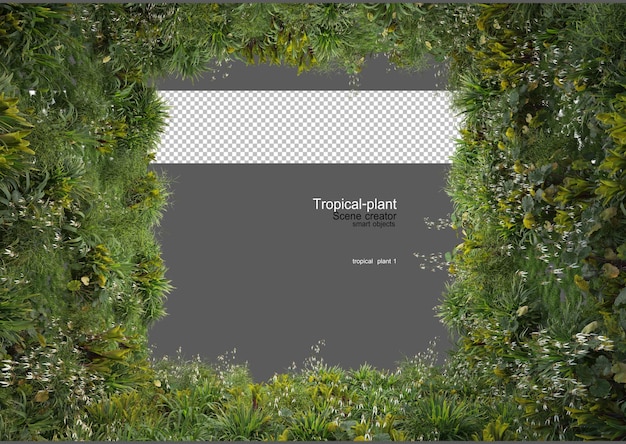 Tropische tuin met decoratieve stenen en stompjes