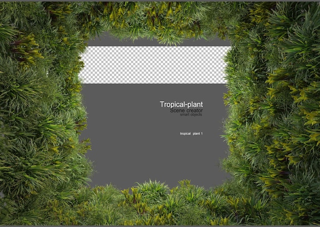 Tropische tuin met decoratieve stenen en stompjes