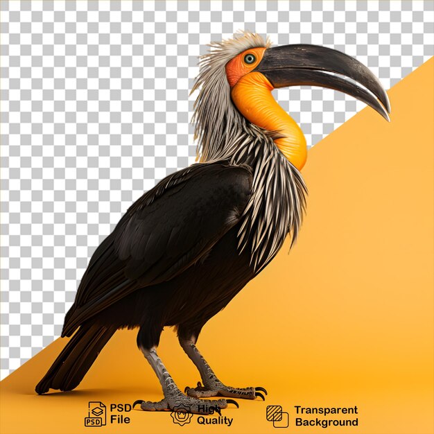 PSD tropische vogels concept geïsoleerd op transparante achtergrond bevatten png-bestand