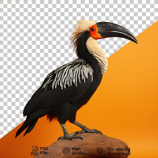 PSD tropische vogels concept geïsoleerd op transparante achtergrond bevatten png-bestand