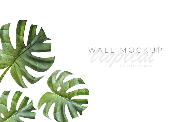 Tropisk og sommerlig bakgrunn Mockup