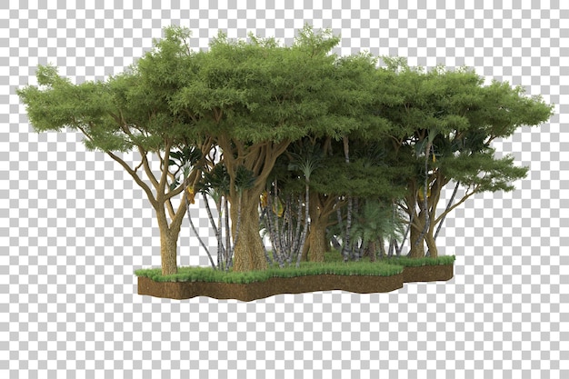 Tropisk skog isolert på transparent bakgrunn 3D-rendering illustrasjon