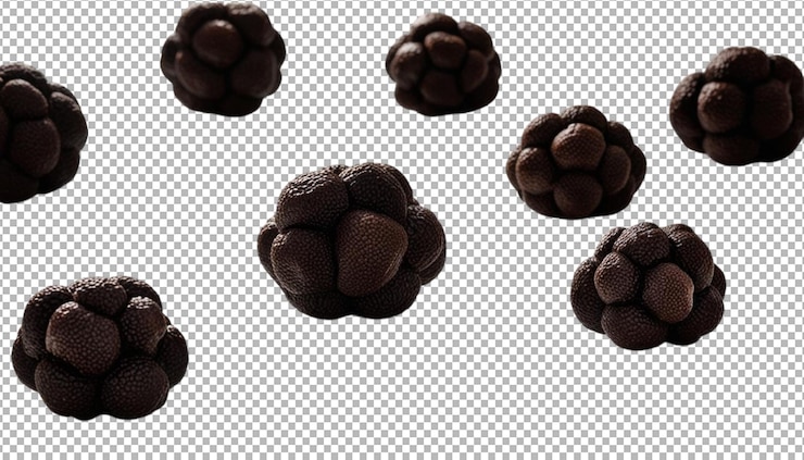 PSD truffels met premium chocolade smaak voor dessert