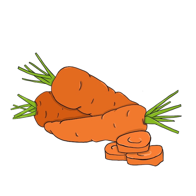 Trzy marchewki z trzema kawałkami marchewek Ilustracja cyfrowa