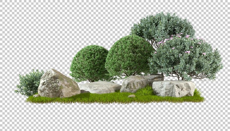 Tuinieren groene struiken ontwerp samenstelling met natuur rock uitgesneden achtergronden 3D-rendering