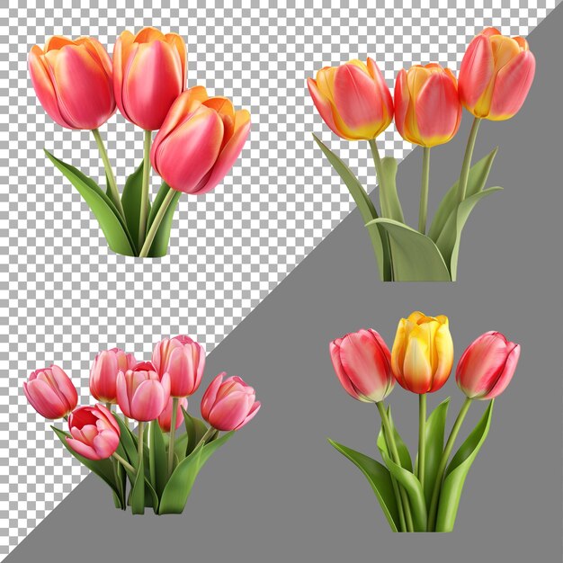 Fiori di tulipano su uno sfondo trasparente generato da ai